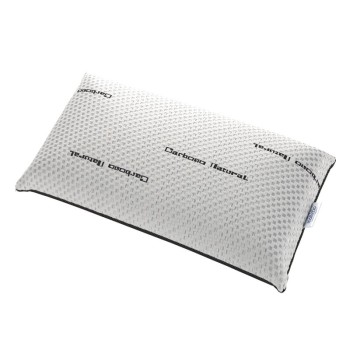 Almohada VISCOELÁSTICA CARBONO NATURAL Todocama